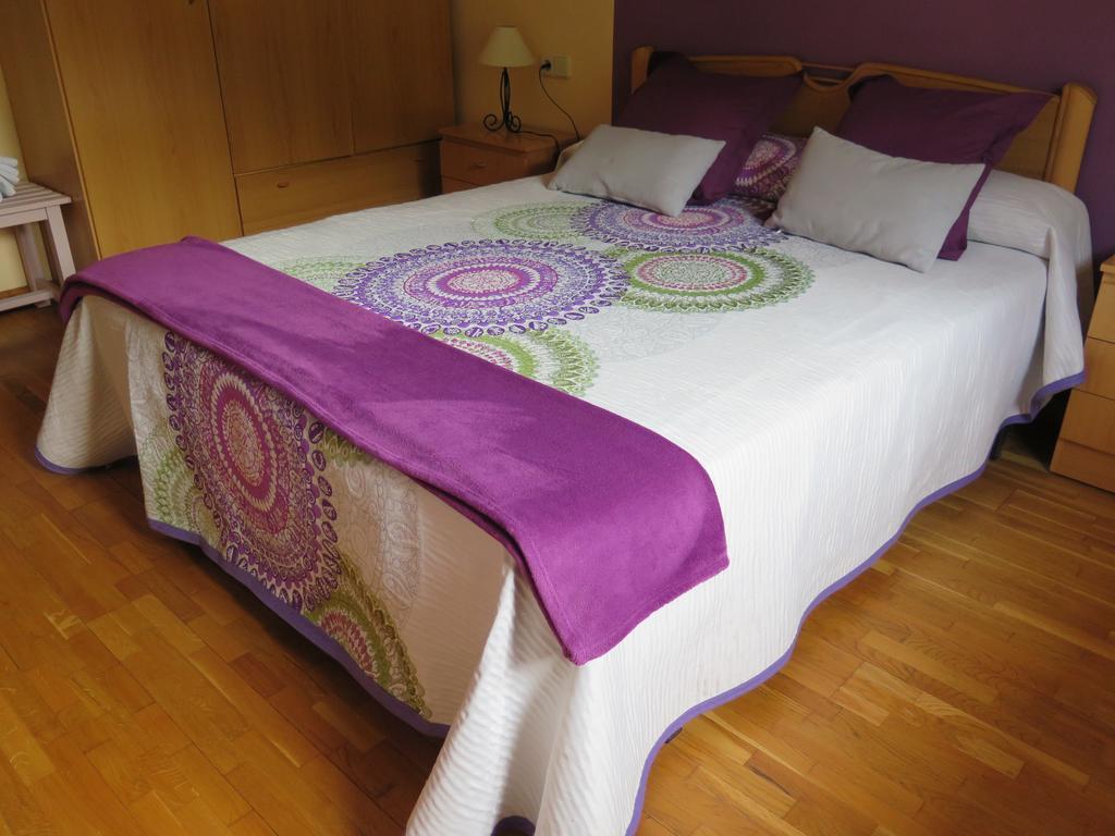 Apartaments El Ribal Valencia D'Aneu المظهر الخارجي الصورة